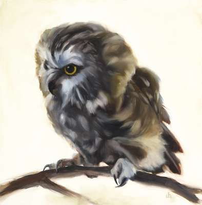 In the Dreamtime (Saw Whet Owl)